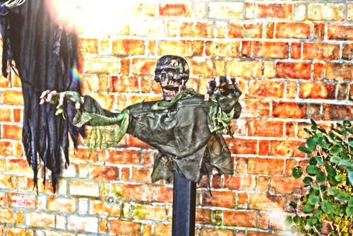 Free stock photo of halloween Stock Photo