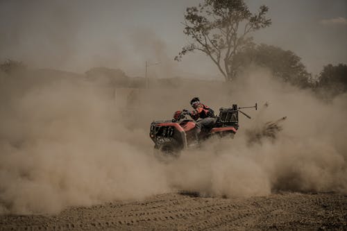 Imagine de stoc gratuită din 4 x 4, arbori, călărie