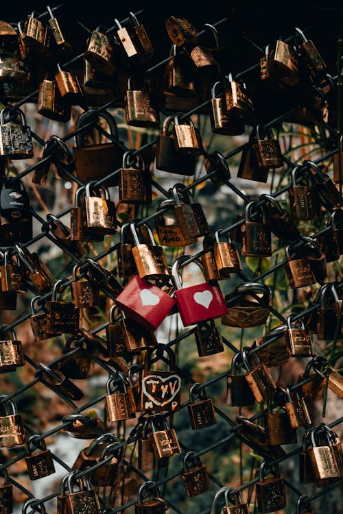 Love Padlocks on the Fence 