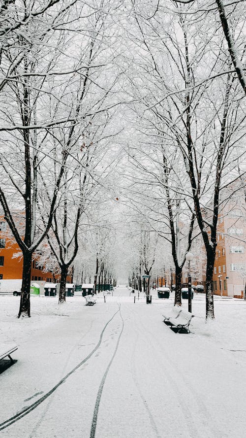 Ilmainen kuvapankkikuva tunnisteilla alaska, autot, eurooppa