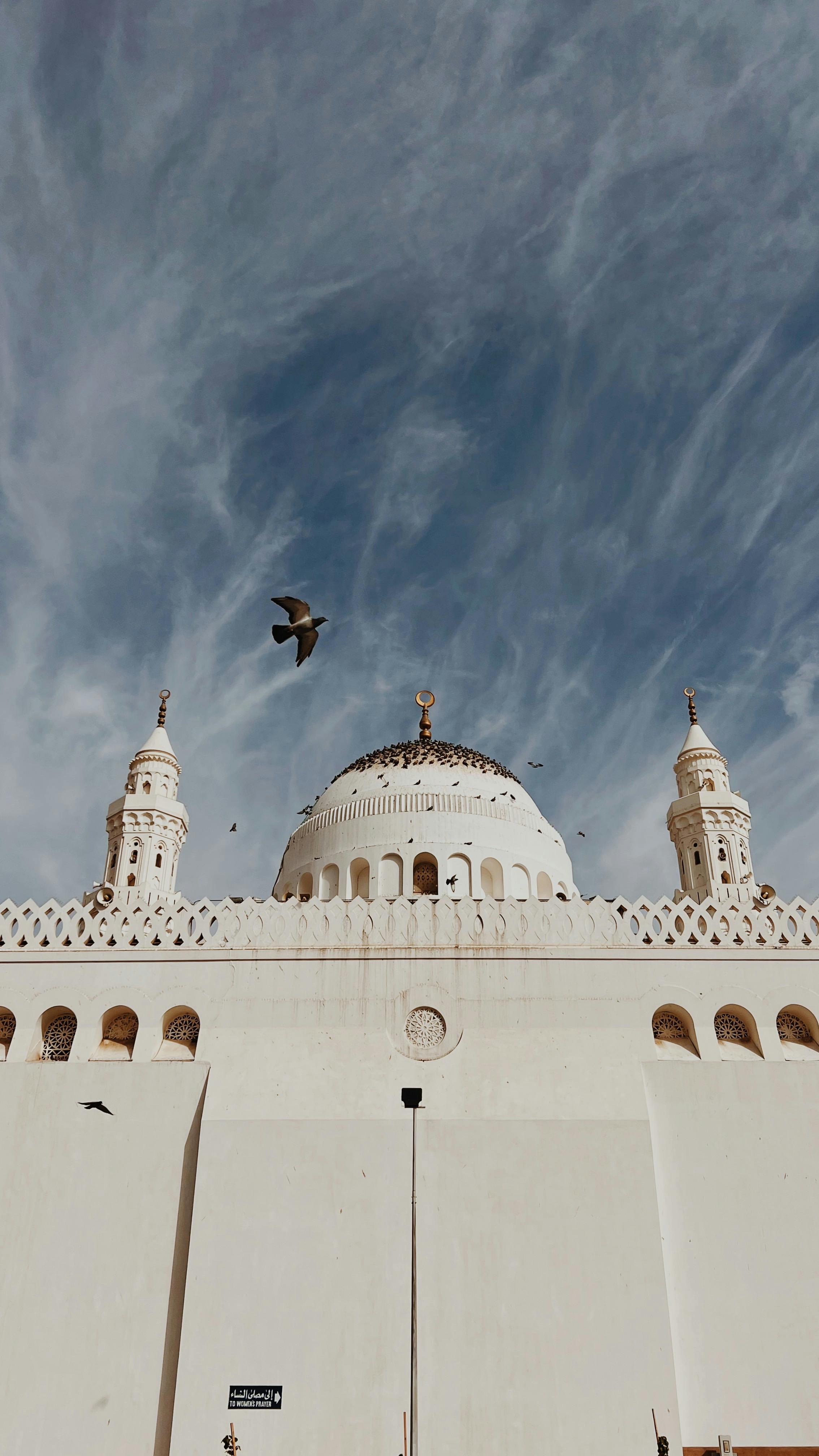 750+ Medina Pictures | Download Free Images on Unsplash