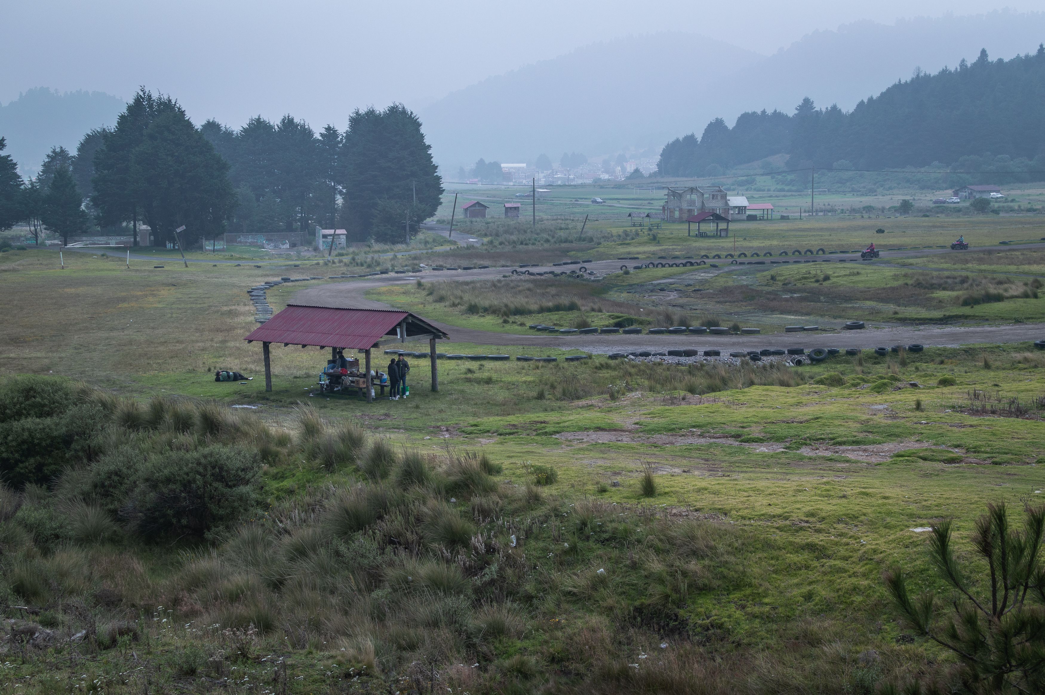 A misty rural landscape with grassy meadows and trees under a cloudy sky.