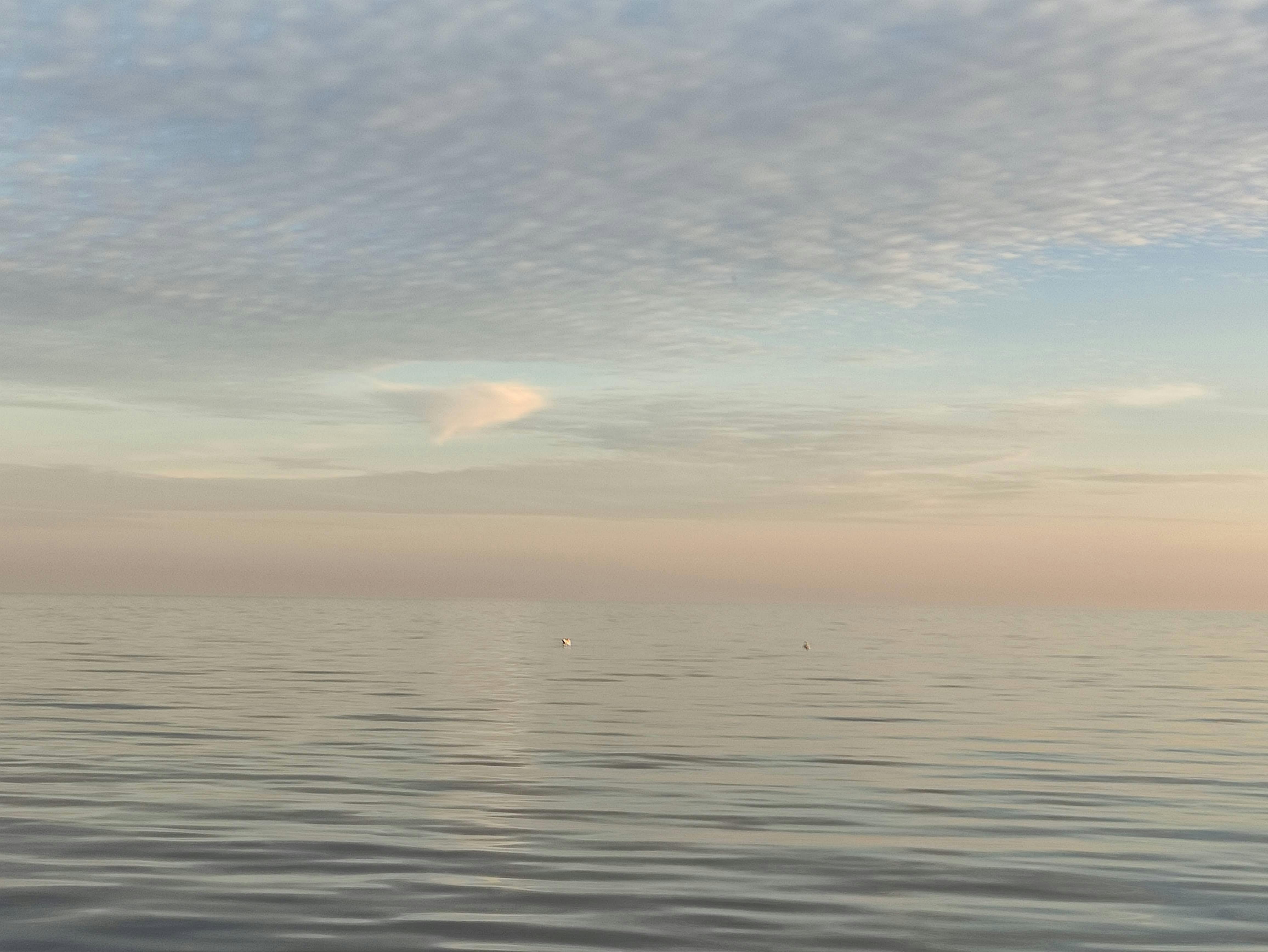 Sunset Pastel Wallpaper Photos, Download The BEST Free Sunset Pastel ...