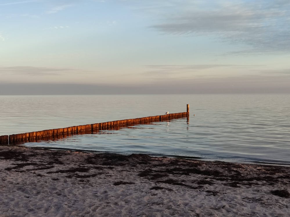 Kostenloses Stock Foto zu abend, friedvoll, horizont