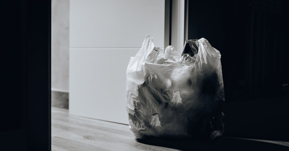 源頭減塑新趨勢!BioLogiQ用植物基材料打造低碳綠色生活