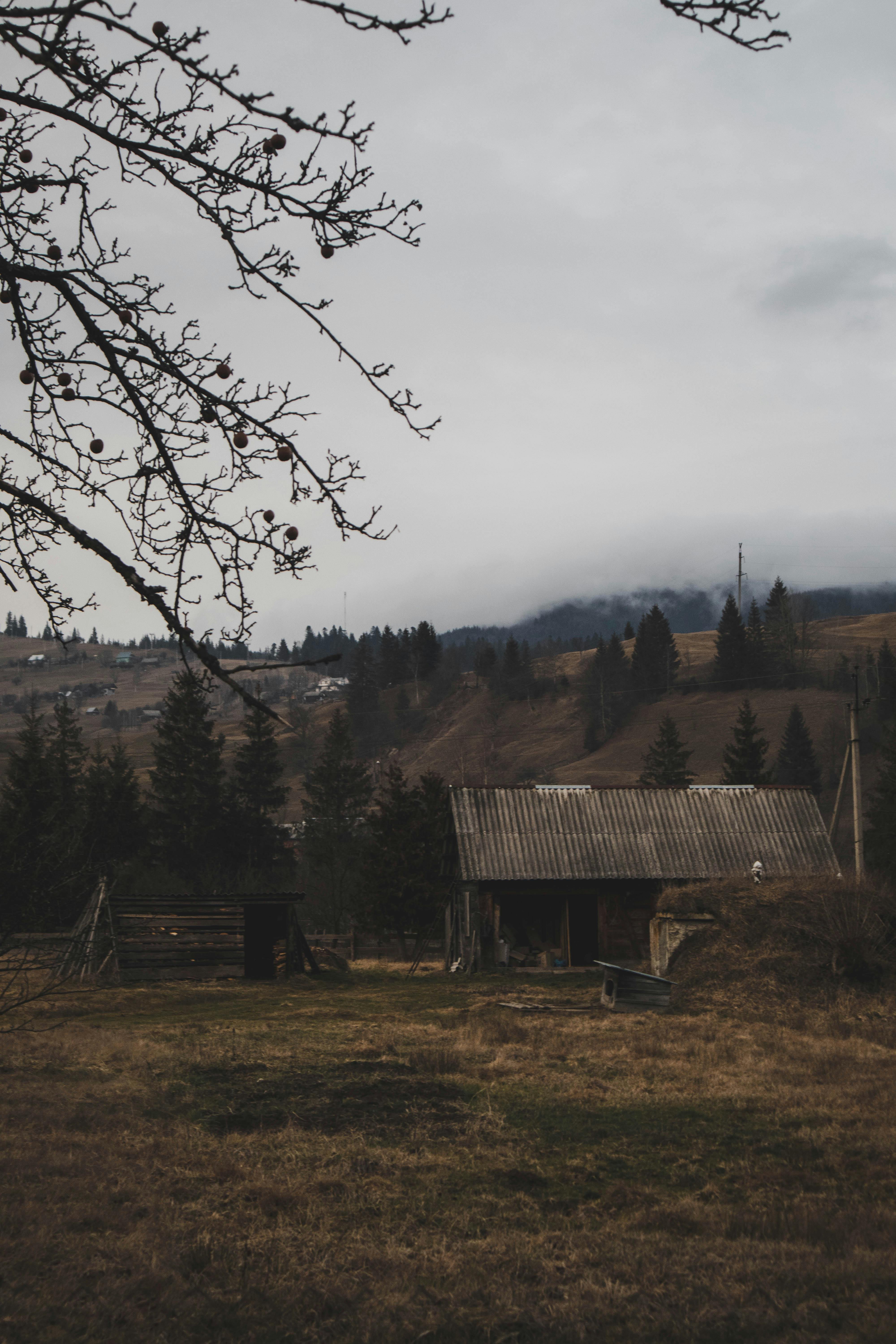 Fence and Trees in Village in Countryside · Free Stock Photo