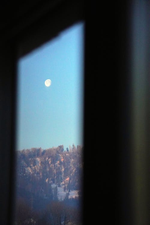 Fotobanka s bezplatnými fotkami na tému les, mesiac, modrá obloha