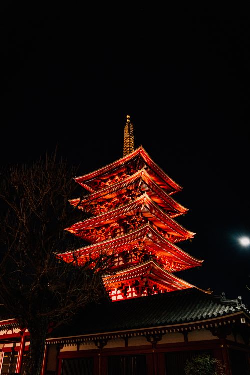 Free Night view of the illuminated Five-Storied Pagoda in Tokyo, Japan, showcasing traditional architecture. Stock Photo
