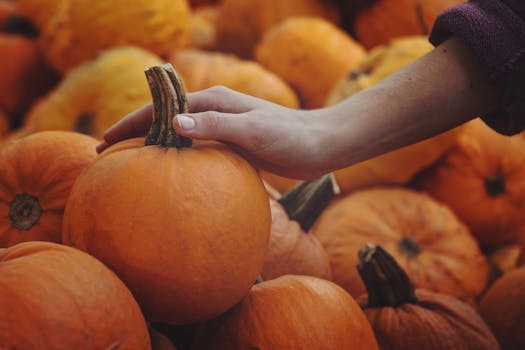 Person Holding Pumpkin