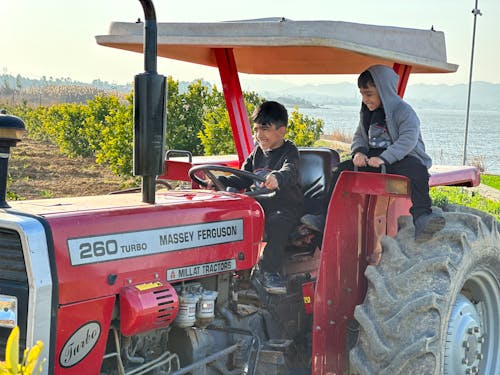 Smiling Boys Driving Tractor