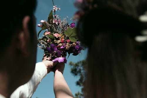 Immagine gratuita di angolo basso, avvicinamento, bouquet