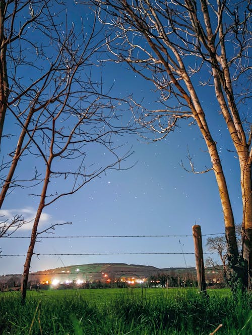 围栏, 垂直拍摄, 樹木 的 免费素材图片