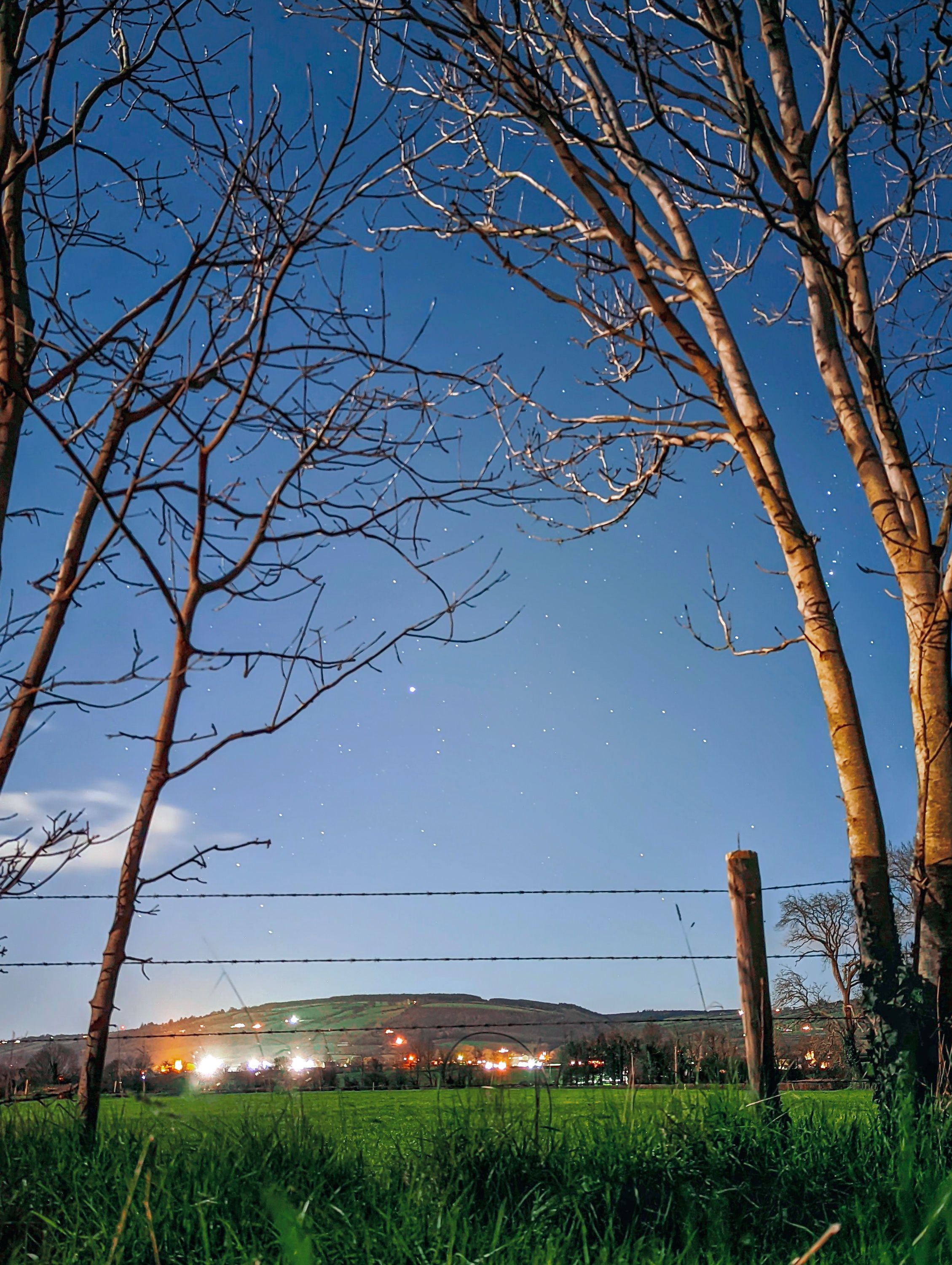 Trees by Barbed Wire Fence in Countryside · Free Stock Photo