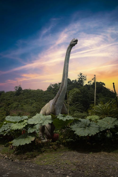 Reconstruction of a Brachiosaurus towering over plants
