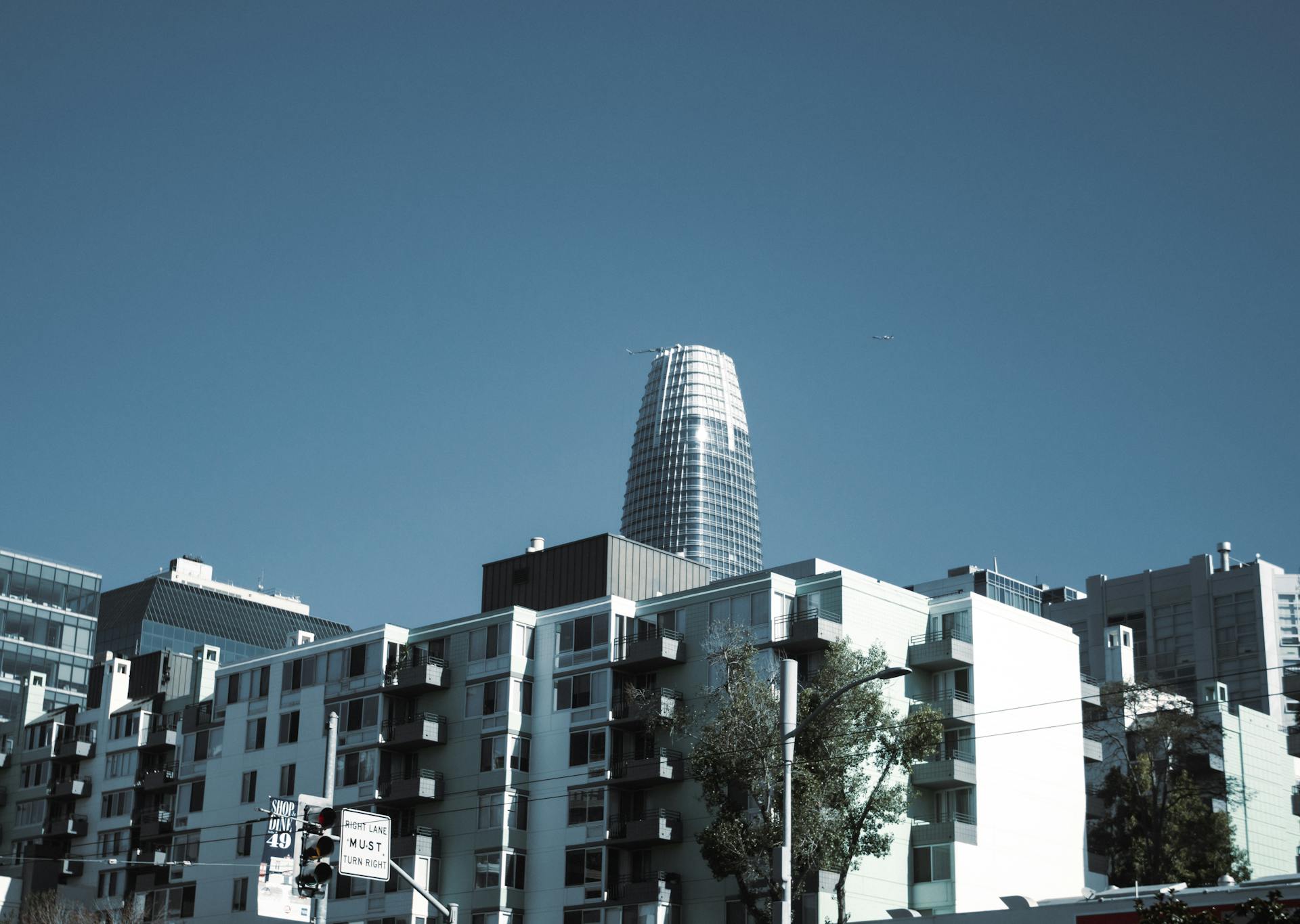 View of Salesforce Tower rising above residential districts in San Francisco's skyline.