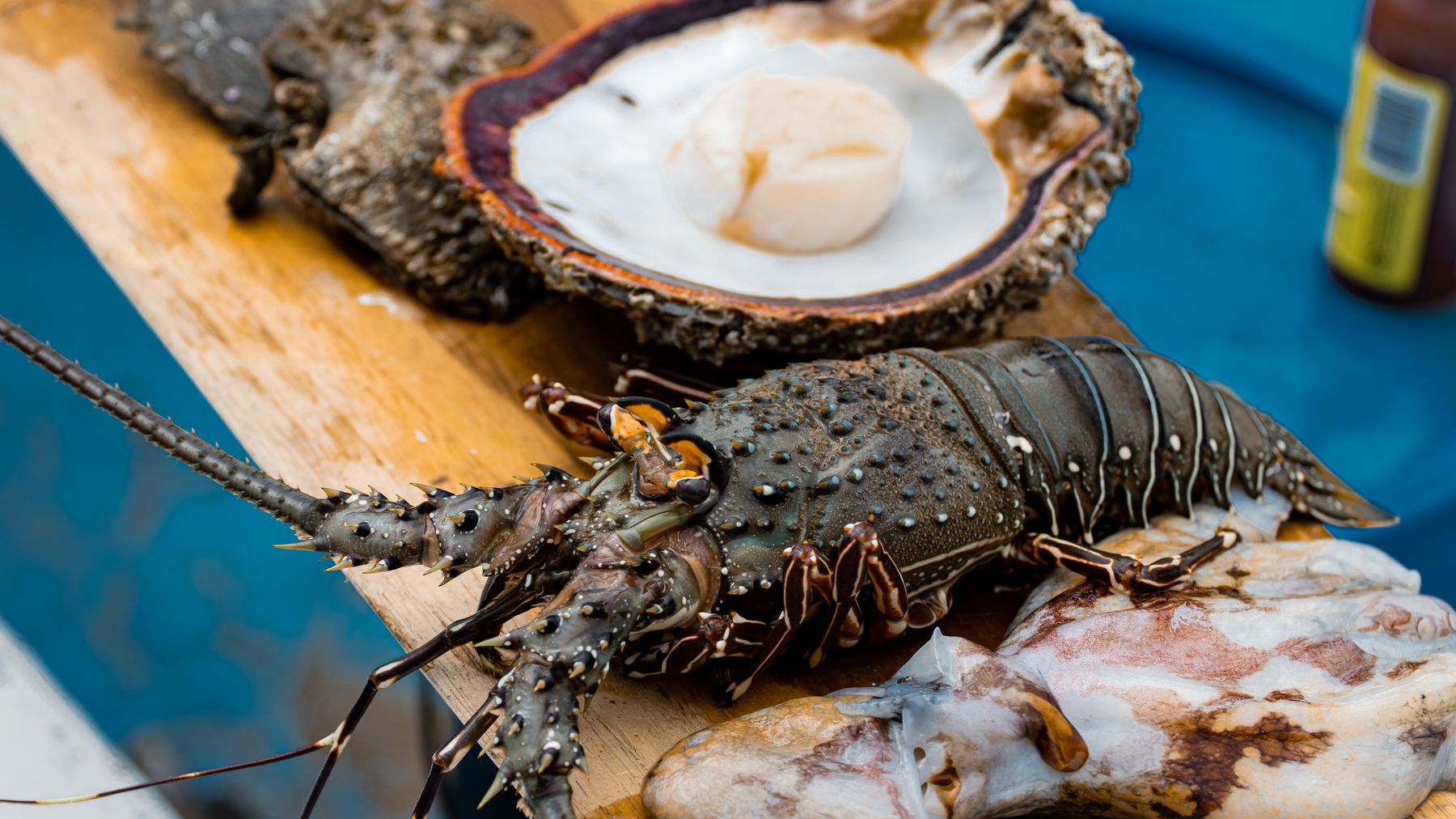 Eine lebendige Auswahl an rohen Meeresfrüchten, darunter Hummer und Jakobsmuscheln, bereit für die Gourmet-Küche.