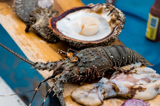 A vibrant display of raw seafood including lobster and scallop ready for gourmet cooking.