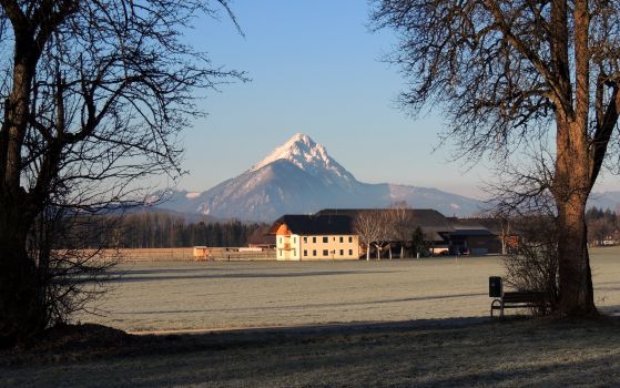 Blick zum Hochstaufen  (1.771m)