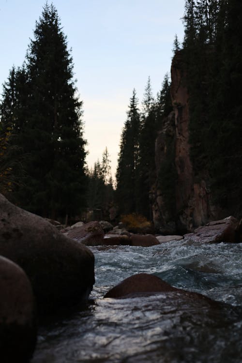 Rocks on Stream in Forest