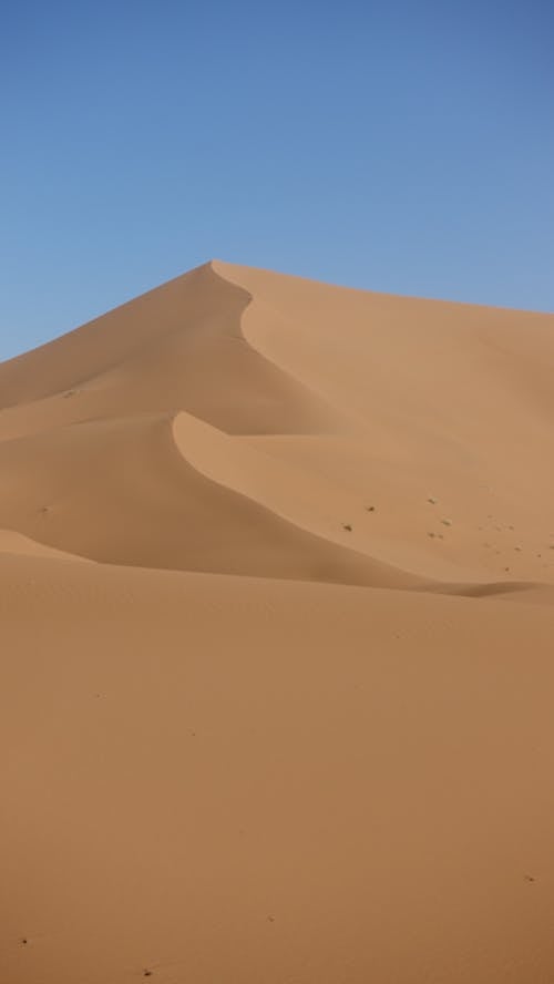 Бесплатное стоковое фото с вертикальный выстрел, голубое небо, коричневый песок