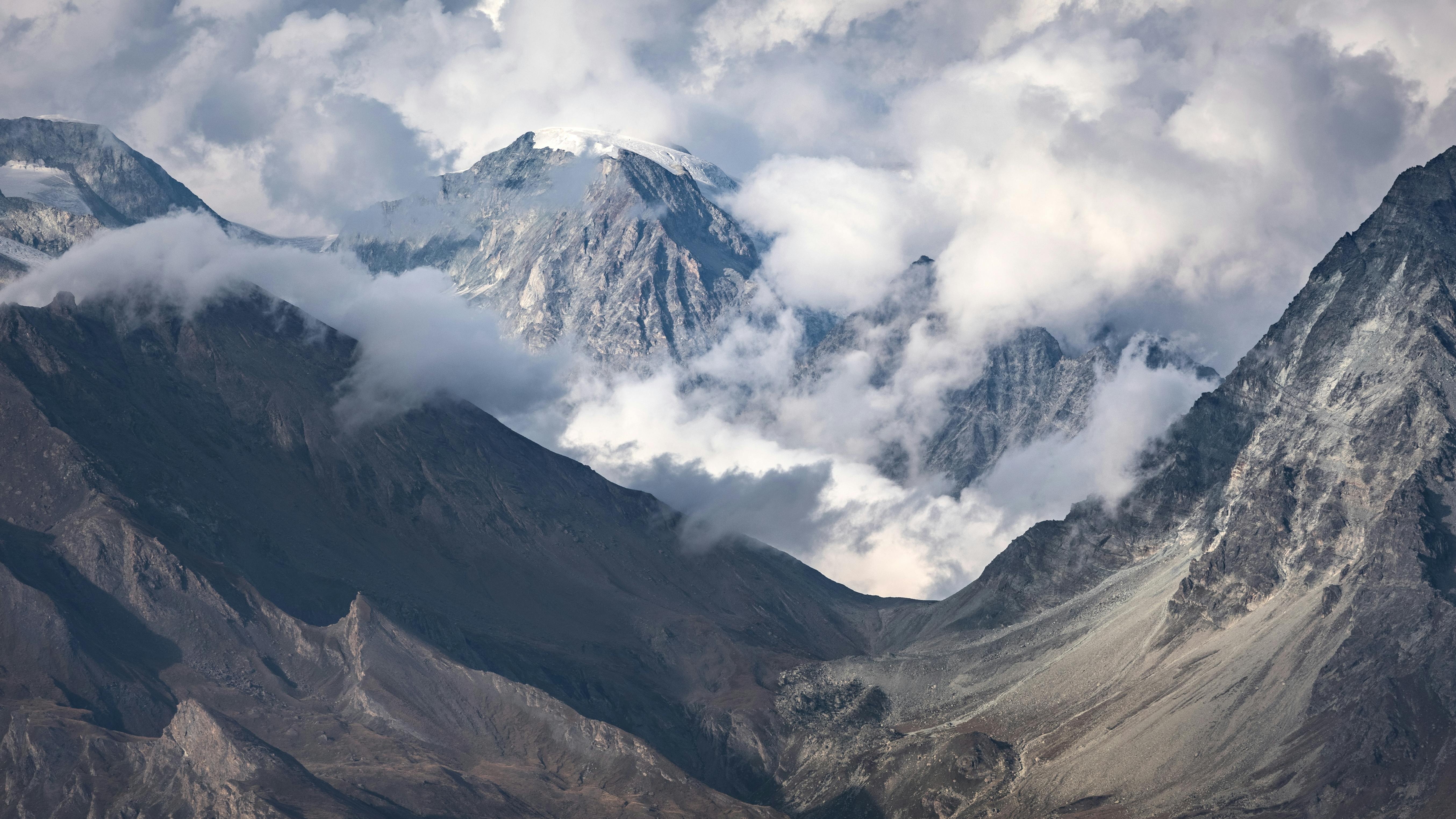 Gratis Immagine gratuita di aereo, alberi, albero Foto a disposizione