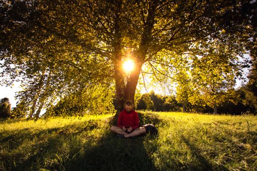 A person reading under a tree with sunlight streaming through the leaves.