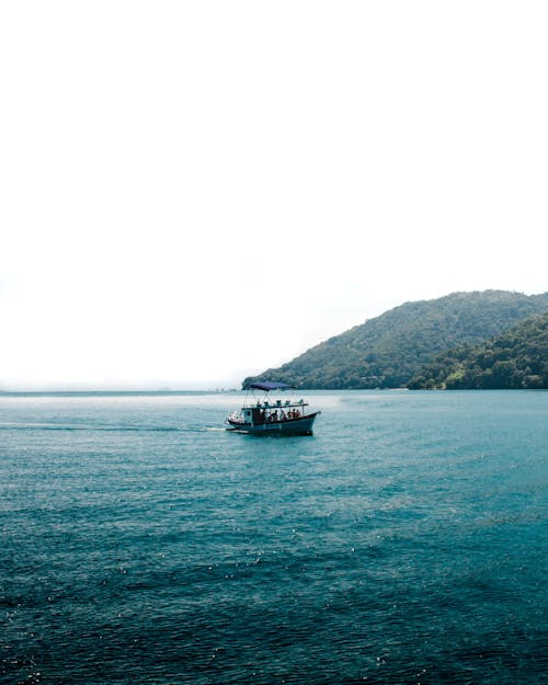 Foto stok gratis berperahu, bukit, hutan