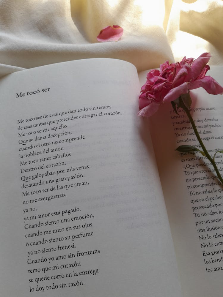 Flower On Poem In Spanish