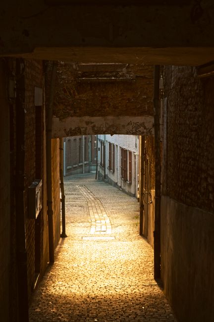 Discover the quaint charm of a cobblestone alley in Mons, showcasing traditional Belgian architecture.