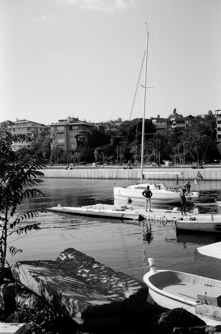 Boats Moored In Marina