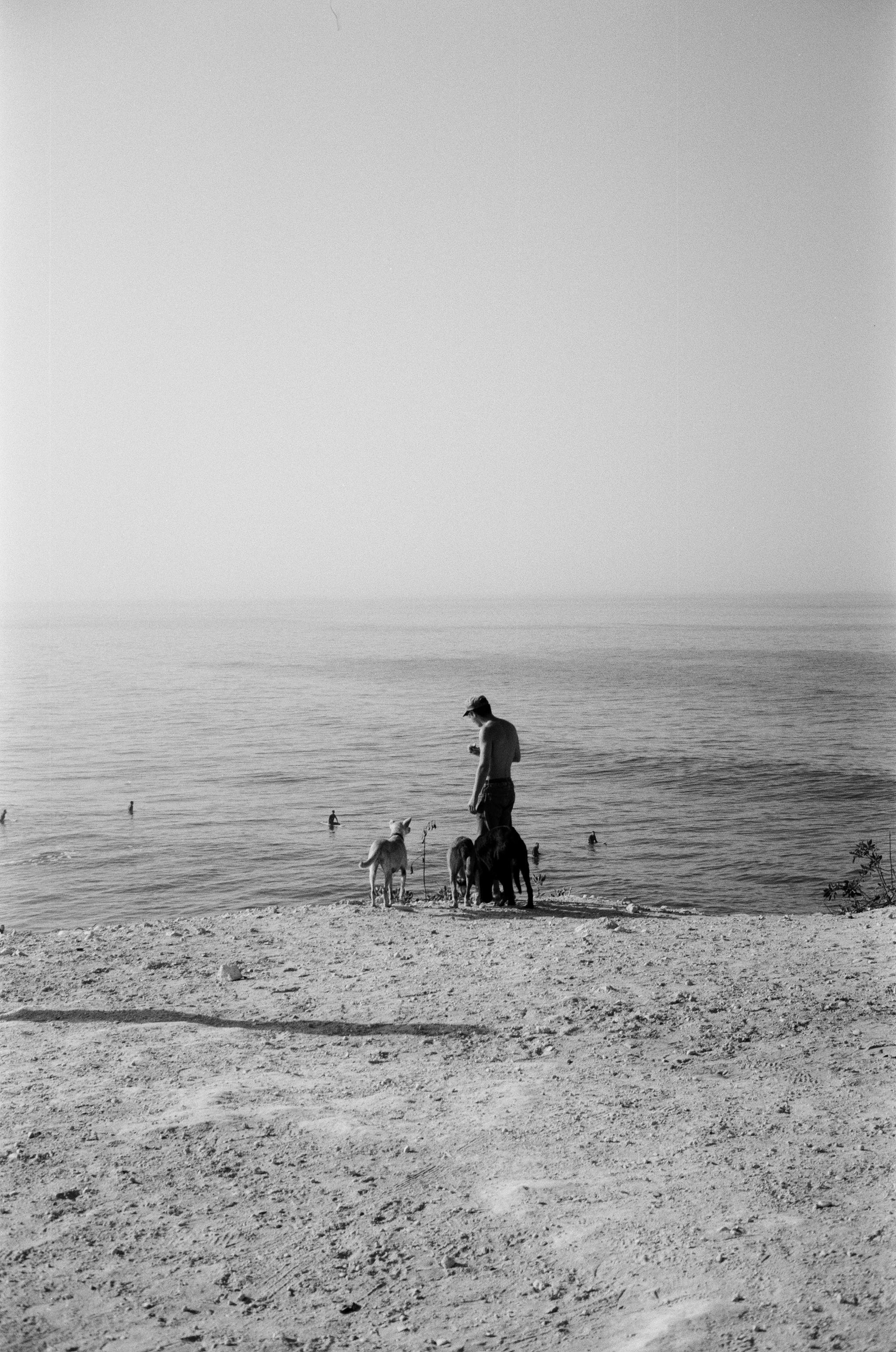 Black and white photo of a man with dogs on a serene Moroccan beach.