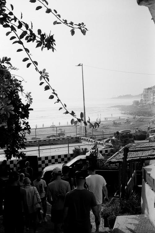 People Walking towards Beach in Black and White