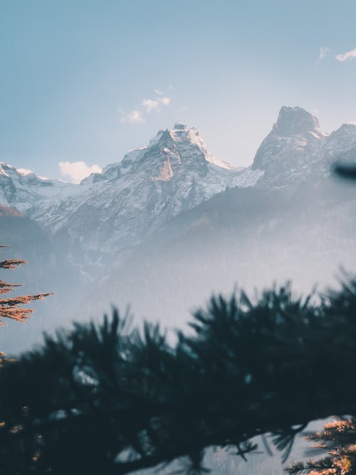 Foggy Landscape of the Mountain Range 