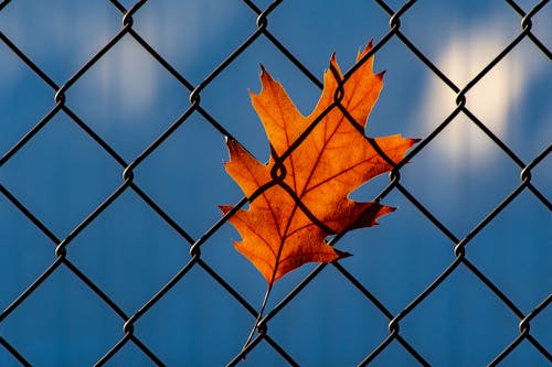 NY and NJ See a Brief Cool Snap This ‘Fake Fall’