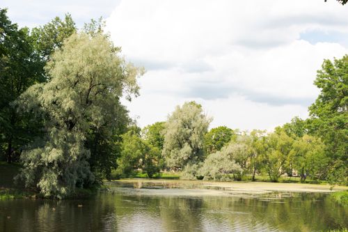 Free Tranquil park scene with lush trees and a calm pond under a summer sky. Stock Photo