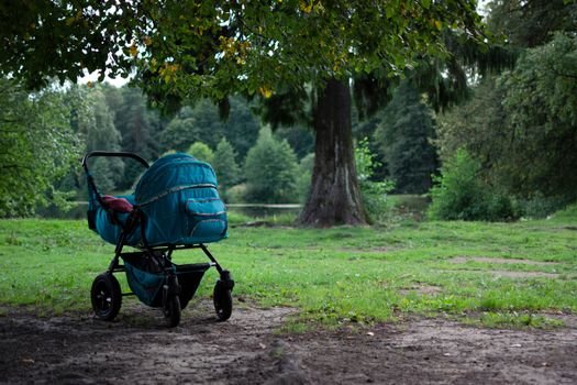 Stroller Standing under Tree