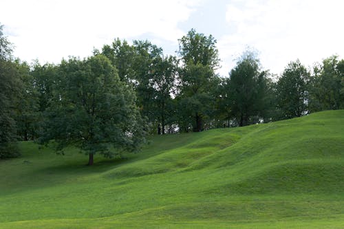 Fotobanka s bezplatnými fotkami na tému golfové ihrisko, kopec, krajina