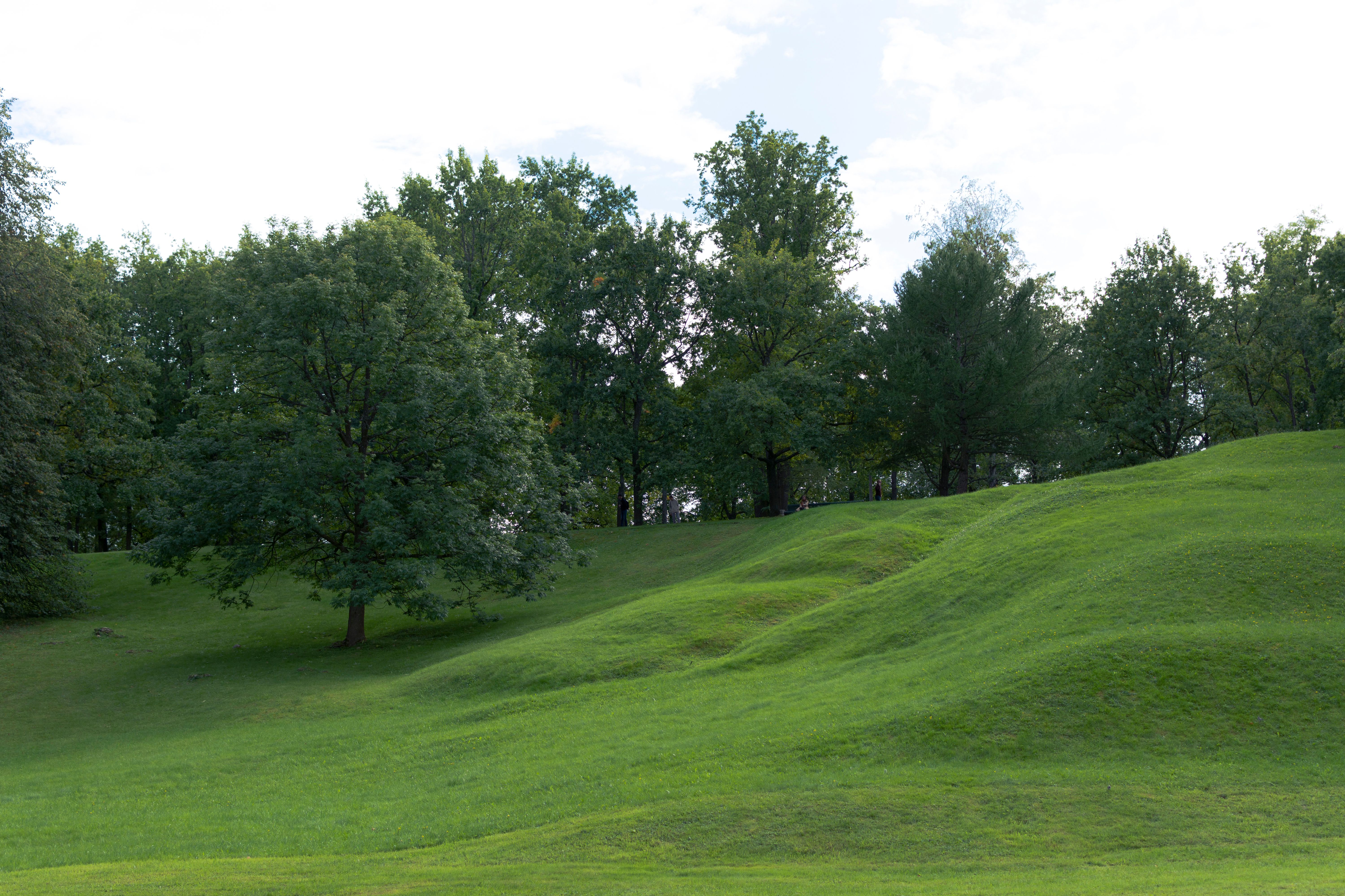 Landscape of a Green Hill and Trees · Free Stock Photo