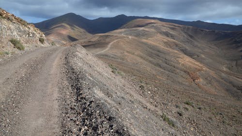 Dirt Road in an Arid Landscape