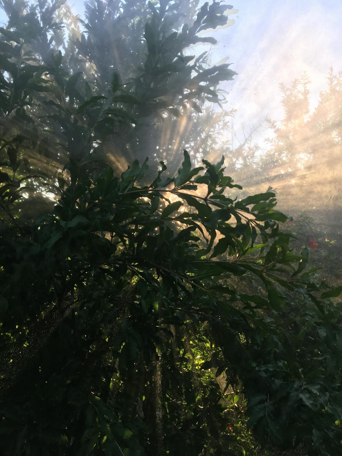 Young person watching educational short-form videos on a smartphone