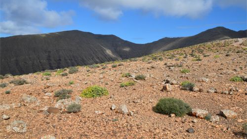 Free Scenic rocky desert with sparse vegetation and rugged mountains under blue skies. Stock Photo