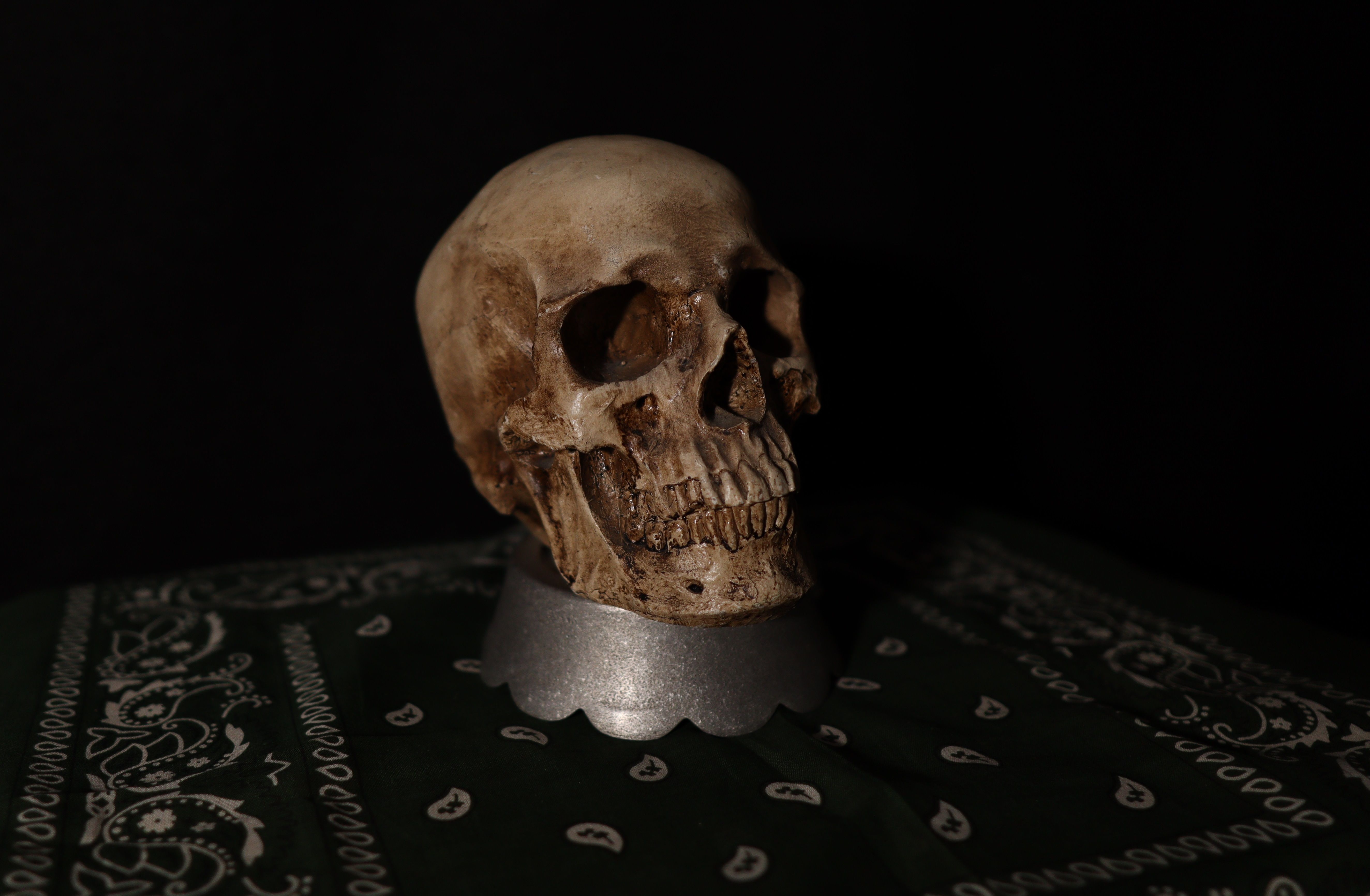 Foto: David Scott / Pexels