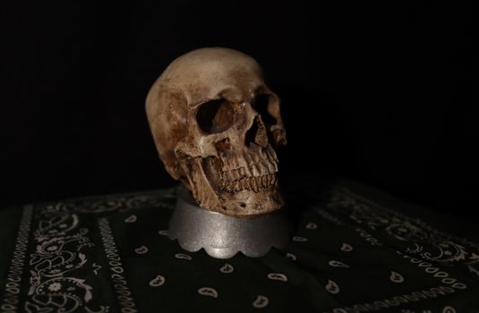 A human skull on a patterned fabric with a dark eerie atmosphere.