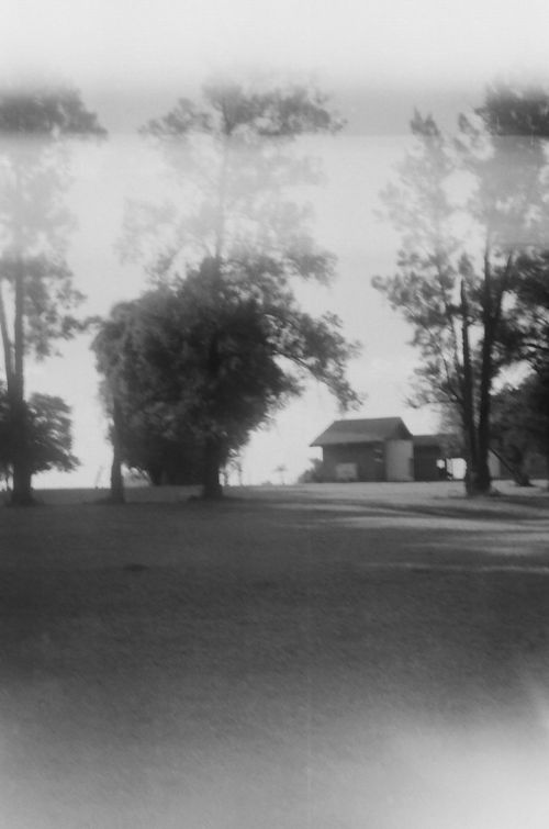 Free Blurred view of a rural landscape featuring trees and a small shack, evoking a serene, vintage feel. Stock Photo
