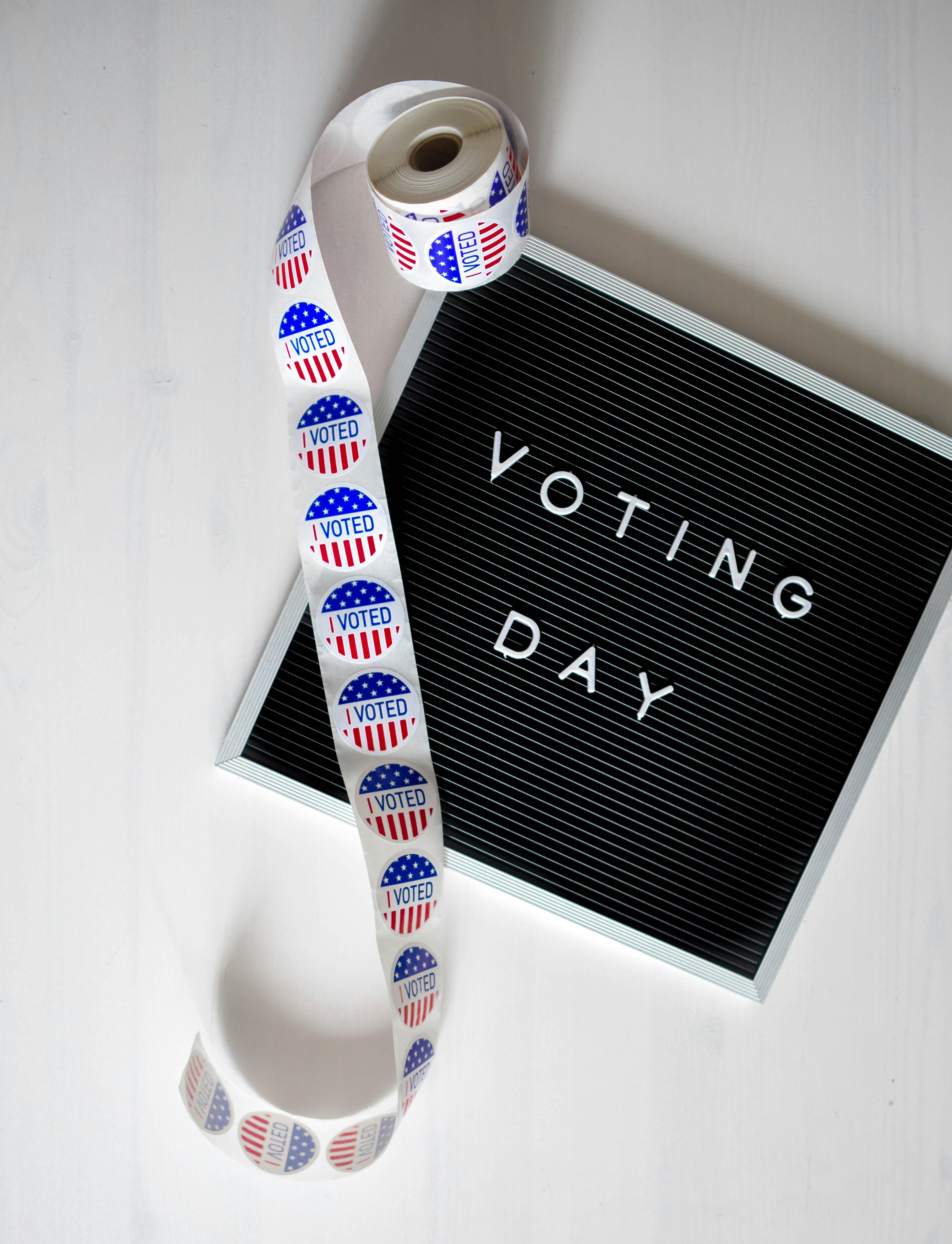 white and grey voting day sign