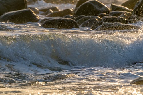 Fotos de stock gratuitas de agua, decir adiós con la mano, mar