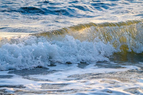 招手, 流動, 海 的 免费素材图片