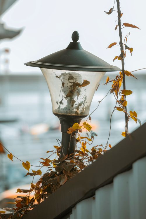 Free A street lamp entwined with autumn vines, creating a harmonious blend of nature and urban elements. Stock Photo