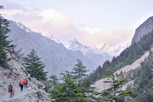 Fotobanka s bezplatnými fotkami na tému backpackers, cestička, hory