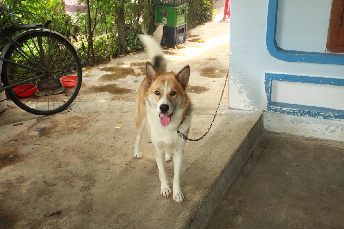 User securing their crypto wallet with multi-factor authentication after learning about scams